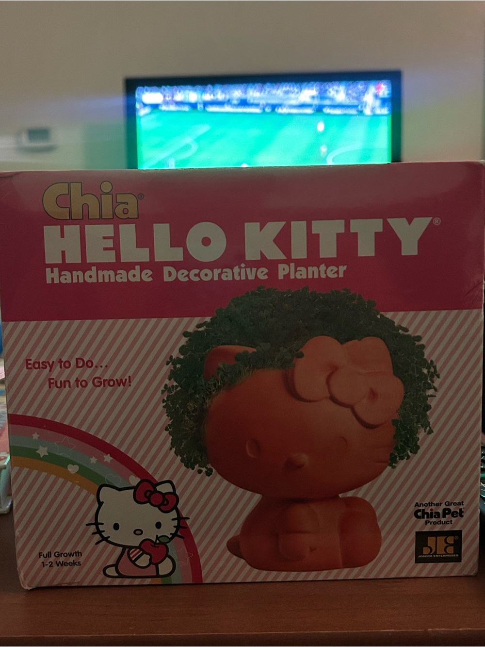 Hello Kitty Chia Pet